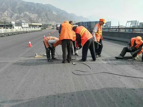 上海道路桥梁病害治理